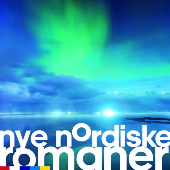 Billede af himmel med nordlys