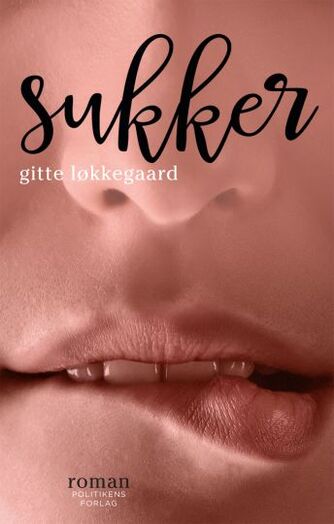 Gitte Løkkegaard: Sukker : roman