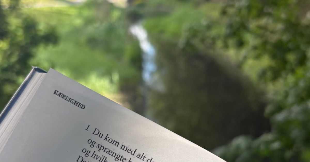 Du kom med alt det der var dig | Tønder Kommunes Biblioteker