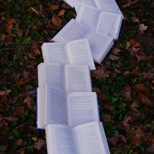 åbne bøger i en række