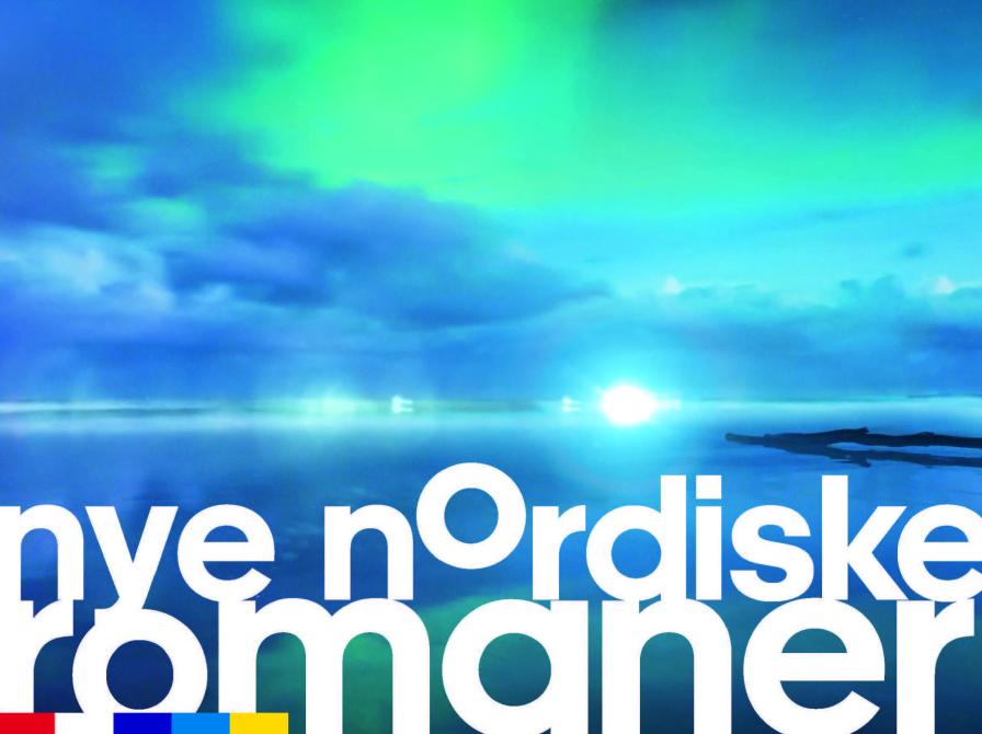 Billede af himmel med nordlys